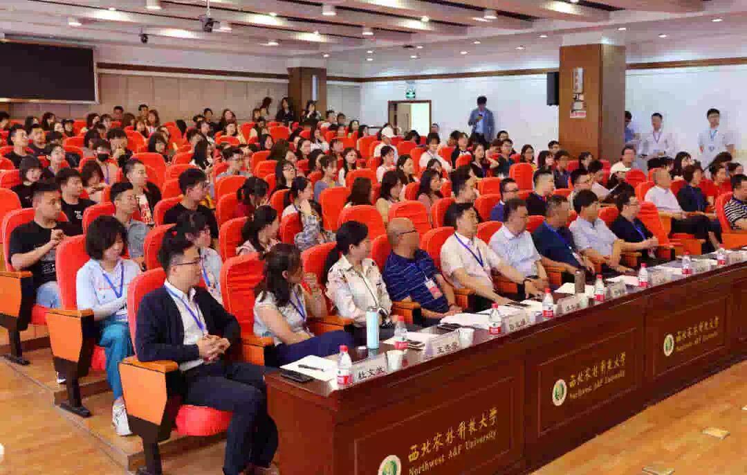 惊艳！幸运彩园林杯赛诞生一批“脑洞”设计师
