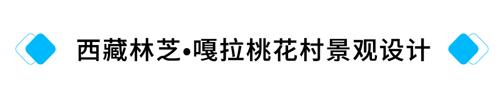 24、西藏林芝?嘎拉桃花村景观设计.jpg
