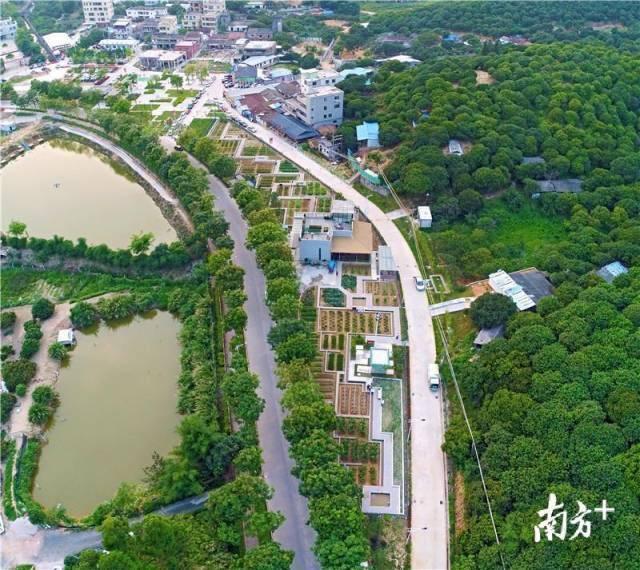 幸运彩股份